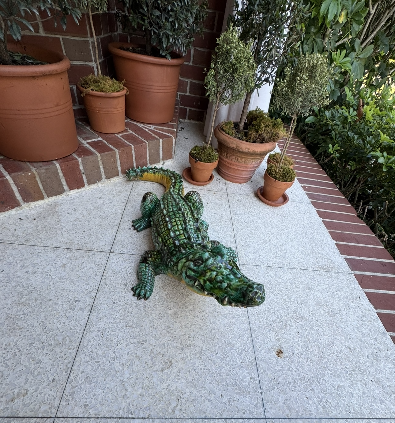 Crocodile 2